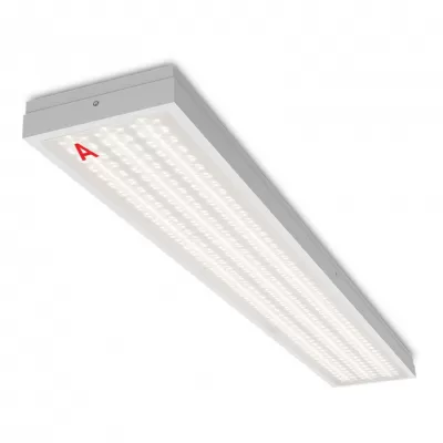 Светодиодная панель STD ДПО13-54-142-4К Wolta