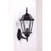 Стеклянный настенный фонарь уличный ASTORIA 2M 91401M Bl овал прозрачный Oasis Light