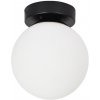 Стеклянный настенно-потолочный светильник Alcor A2224PL-1BK белый форма шар