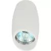 Точечный светильник  OL20 WH белый ЭРА