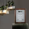 Стеклянный подвесной светильник Sophia Cognac 11044 Sophia Cognac цвет янтарь форма шар TK Lighting