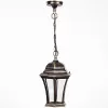 Стеклянный уличный светильник подвесной  91305L Gb прозрачный Oasis Light