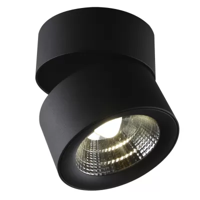 Спот Urchin 1295/04 PL-1 Divinare карданный