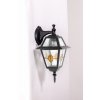 Стеклянный настенный фонарь уличный FARO lead GLASS 91102/04 lgY Bl прозрачный Oasis Light