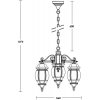 Стеклянный уличный светильник подвесной AMERICA S 83470S/3 W прозрачный Oasis Light