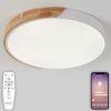 Потолочный светильник Scandinavian LED LAMPS 81182 белый Natali Kovaltseva