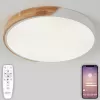 Потолочный светильник Scandinavian LED LAMPS 81182 белый Natali Kovaltseva Потолочный светильник Scandinavian LED LAMPS 81182 белый Natali Kovaltseva