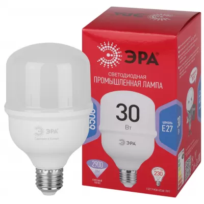 Лампочка светодиодная  LED POWER T80-30W-6500-E27 R ЭРА
