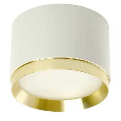 Точечный светильник HL459 52022 Feron