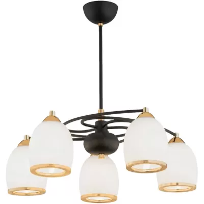 Потолочная люстра  MD.8388-5-P-BK Imex