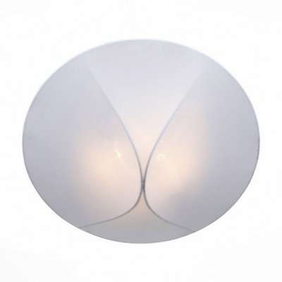 Потолочный светильник Tonico SL360.552.02 ST Luce