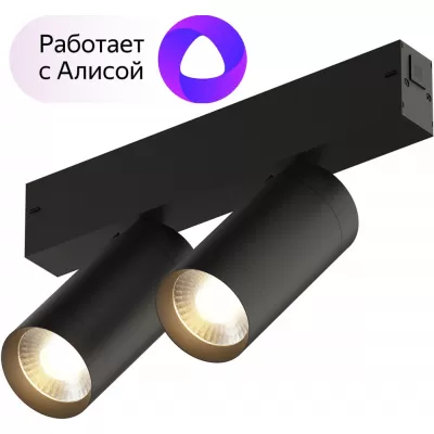 Трековый светильник Smart Spot DK8012-BK Denkirs дания