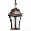 Стеклянный уличный светильник подвесной  91305L Gb прозрачный Oasis Light