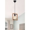 Подвесной светильник Louise TL1613H-01WD TopLight