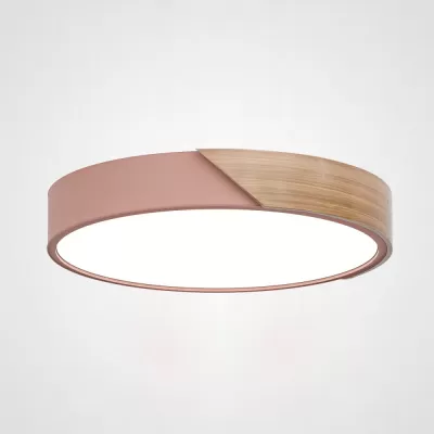 Потолочный светильник  CLIP01 ImperiumLoft