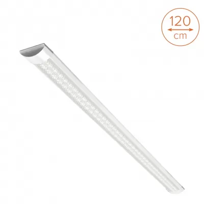 Настенно-потолочный светильник  WLFS36W04 Wolta