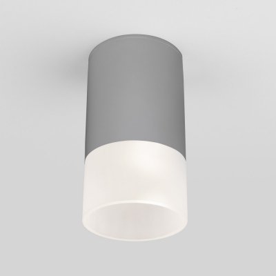 Потолочный светильник уличный Light LED 35139/H серый Elektrostandard