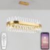 Хрустальная подвесная люстра Alexandria LED LAMPS 81248 прозрачная Natali Kovaltseva