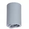 Точечный светильник Sentry A1560PL-1GY серый цилиндр Artelamp