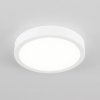Потолочный светильник Галс CL5522N белый Citilux