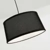 Настенно-потолочный светильник Eureka 3006-1P черный конус F-Promo