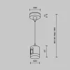 Подвес тросовый Accessories for tracks Flarity TRA157SW-IPC1-PT Maytoni Подвес тросовый Accessories for tracks Flarity TRA157SW-IPC1-PT Maytoni