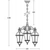 Стеклянный уличный светильник подвесной ROMA L 95270L/3 W прозрачный Oasis Light