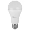 Лампочка светодиодная  LED A65-25W-865-E27 R ЭРА