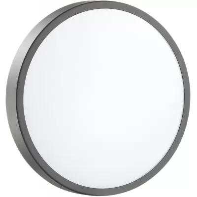 Настенно-потолочный светильник Smalli 3012/AL Sonex