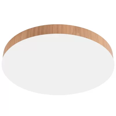 Потолочный светильник AL1600 51109 Feron