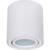 Точечный светильник Beid A1513PL-1WH цилиндр белый Artelamp