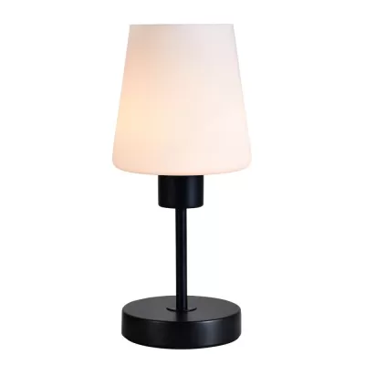 Интерьерная настольная лампа Clarity ES0002707 Escada