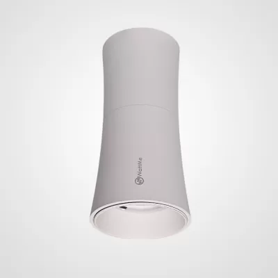 Точечный светильник  Zyppa01 ImperiumLoft накладной