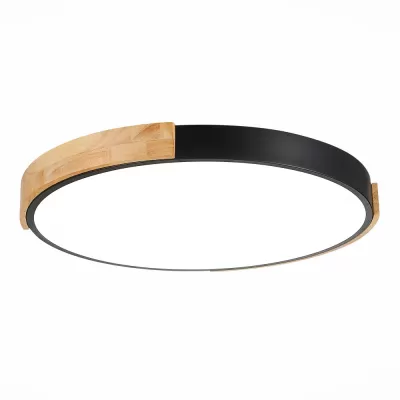 Потолочный светильник Delia SLE201342-01 Evoluce круглый