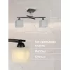Стеклянная потолочная люстра  000050563 белая