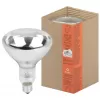 Лампочка инфракрасная  ИКЗ 220-250 R127 E27 ЭРА