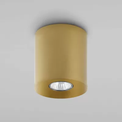Потолочный светильник Orion 3198 TK Lighting