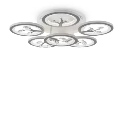 Потолочная люстра Bodge FR10017CL-L92W Freya