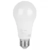 Лампочка светодиодная  LED A65-20W-840-E27 R ЭРА