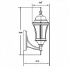 Стеклянный настенный фонарь уличный  91301L Gb прозрачный Oasis Light