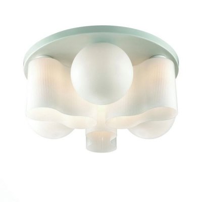 Потолочный светильник Schiuma SL539.502.09 ST Luce