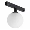 Стеклянный трековый светильник Vision48/22 SMART 4822-016-D120-6W-340DG-BK форма шар белый iLedex