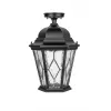 Стеклянный потолочный светильник уличный ASTORIA 2M 91405MA Bl ромб прозрачный Oasis Light Стеклянный потолочный светильник уличный ASTORIA 2M 91405MA Bl ромб прозрачный Oasis Light
