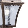 Стеклянный уличный светильник подвесной Таллин 11612 прозрачный Feron