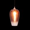 Стеклянный подвесной светильник Fade Pendant light LOFT2020-A прозрачный Loft It