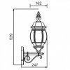 Стеклянный настенный фонарь уличный  83401S W прозрачный Oasis Light