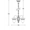 Стеклянный уличный светильник подвесной KRAKOV 1 L 87270L/18/3 Gb прозрачный Oasis Light