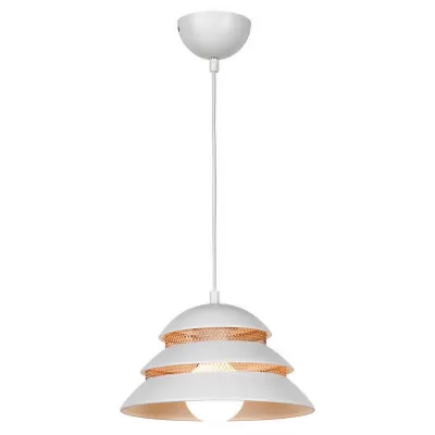 Подвесной светильник Beijing GRLSP-8130 Loft для натяжного потолка