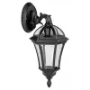 Стеклянный настенный фонарь уличный ROMA S 95202S 15L Bl прозрачный Oasis Light