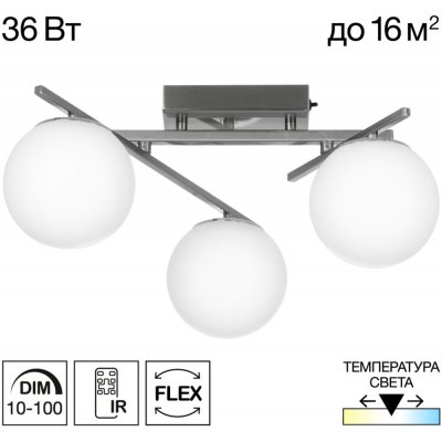 Потолочная люстра Dorsy CL223131 Citilux